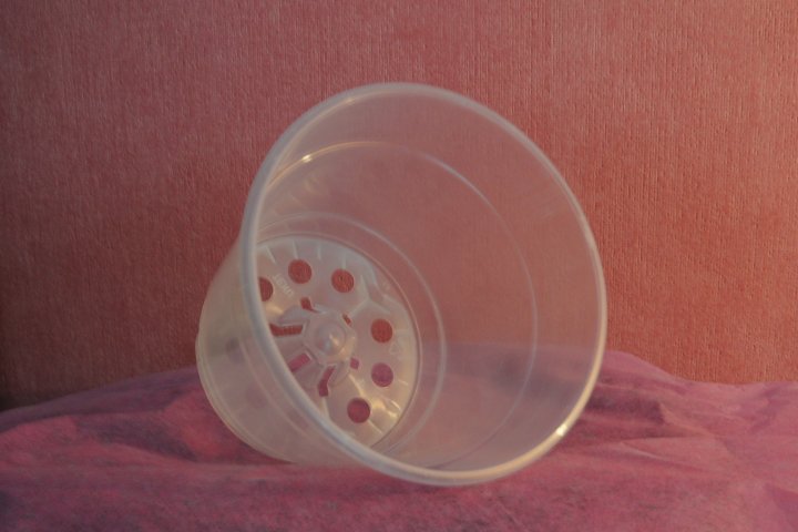 Clear plastic pots